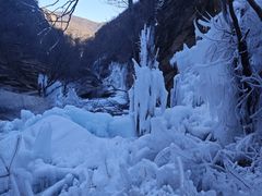 -黑龙潭风景区