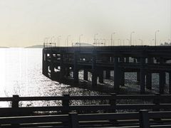 -星海湾跨海大桥