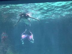-常州海昌海洋探索馆