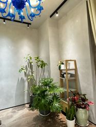 点击看大图 -MaisonFL·美颂法式专业美发艺术沙龙