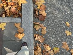 -山东外贸职业学院