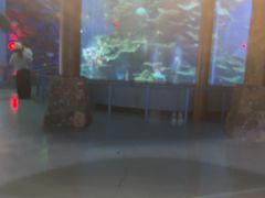 -泉城欧乐堡海洋极地世界