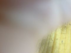 -蓝湾碧波·老字号·疍家非遗海上餐厅