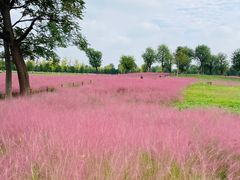 -汉长安城未央宫国家考古遗址公园