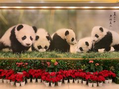 -成都驻京办餐厅(蜀都宾馆店)