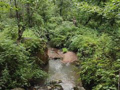 -五营红松林海景区