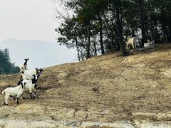 -仙岛湖旅游风景区