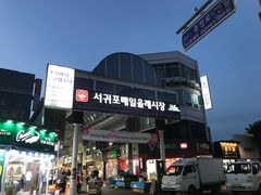 -西归浦每天偶来市场