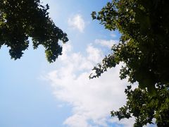 -浙江大学(玉泉校区)
