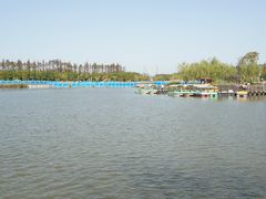 -上海长兴岛郊野公园