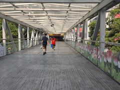 -南宁南湖公园
