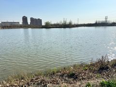 -甜心庄园·甜心草莓采摘园(西青中北店)