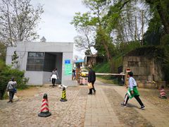 -紫金山天文台