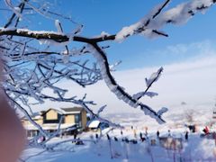 -中旅松花湖滑雪场