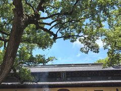 -普陀山风景名胜区-法雨禅寺