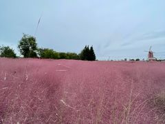 -羊亭河湿地公园