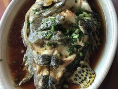 清蒸野生桂鱼-临水阁农家乐饭店