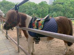 -太阳岛度假酒店