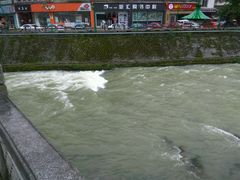 -老号尤兔头(幸福店)