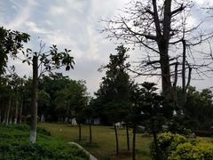 -五通灯塔公园