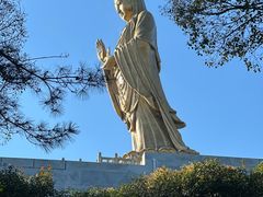 -普陀山雷迪森庄园