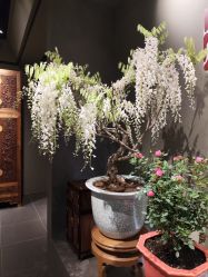 -今日陶艺(富力广场店)