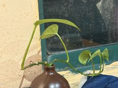 -全家福东北菜(大运河博物馆店)