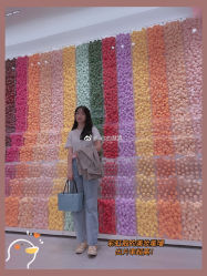-THE COLORIST调色师