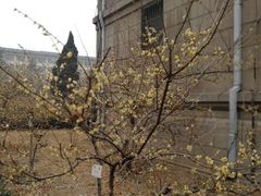 -山东师范大学(千佛山校区)