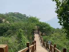-大岭沟猕猴桃谷风景区