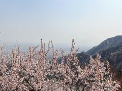 -北京凤凰岭