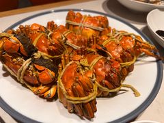 -杨氏青龙虾·羊蝎子(托乐嘉店)
