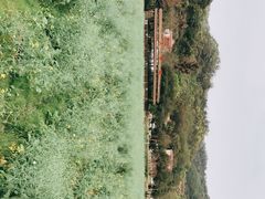 -红山村