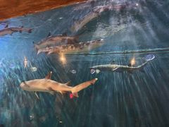 -华夏文旅西安度假区