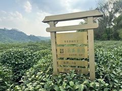 -中国茶叶博物馆(双峰馆区)