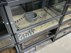 -三旗百汇商品城