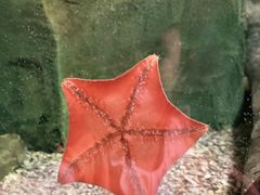 -沈阳海洋探索中心