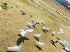 -良渚古城遗址公园
