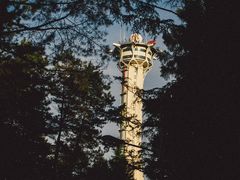 -帽儿山国家森林公园