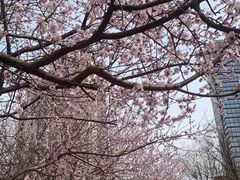 -新荟城(望京店)