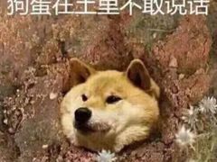 -拜鲁耶动物诊疗中心·宠家动物医院