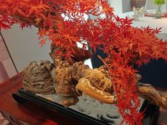 -顺峰(农展馆店)