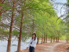 -上海海湾国家森林公园