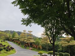 -东莞植物园
