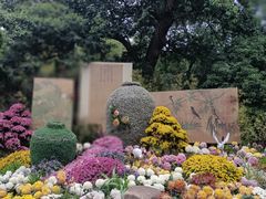 -杭州植物园
