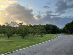 -江苏三台山国家森林公园