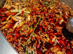 -味之绝·美蛙鱼头火锅(科巷店)