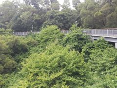 -金鸡山公园