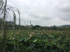 -贵阳蓬莱仙界