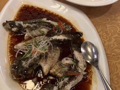 -七仙岭君澜度假酒店·桃源小馆中餐厅